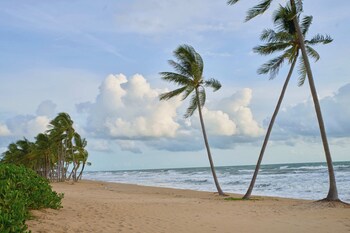 viona beach hotel marina phu quoc