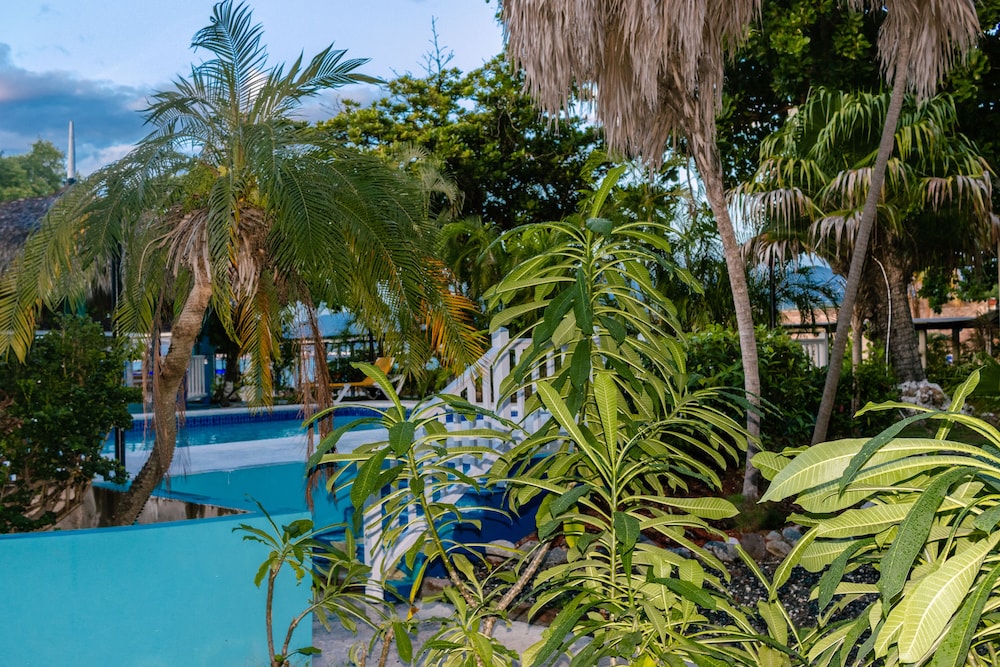 grand hotel excelsior port royal