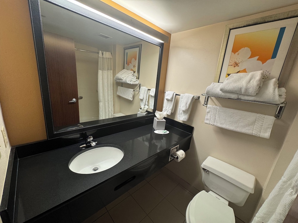 sleep inn and suites pensacola university area