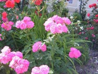 les roses de montherlant