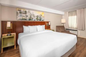 comfort inn thunder bay