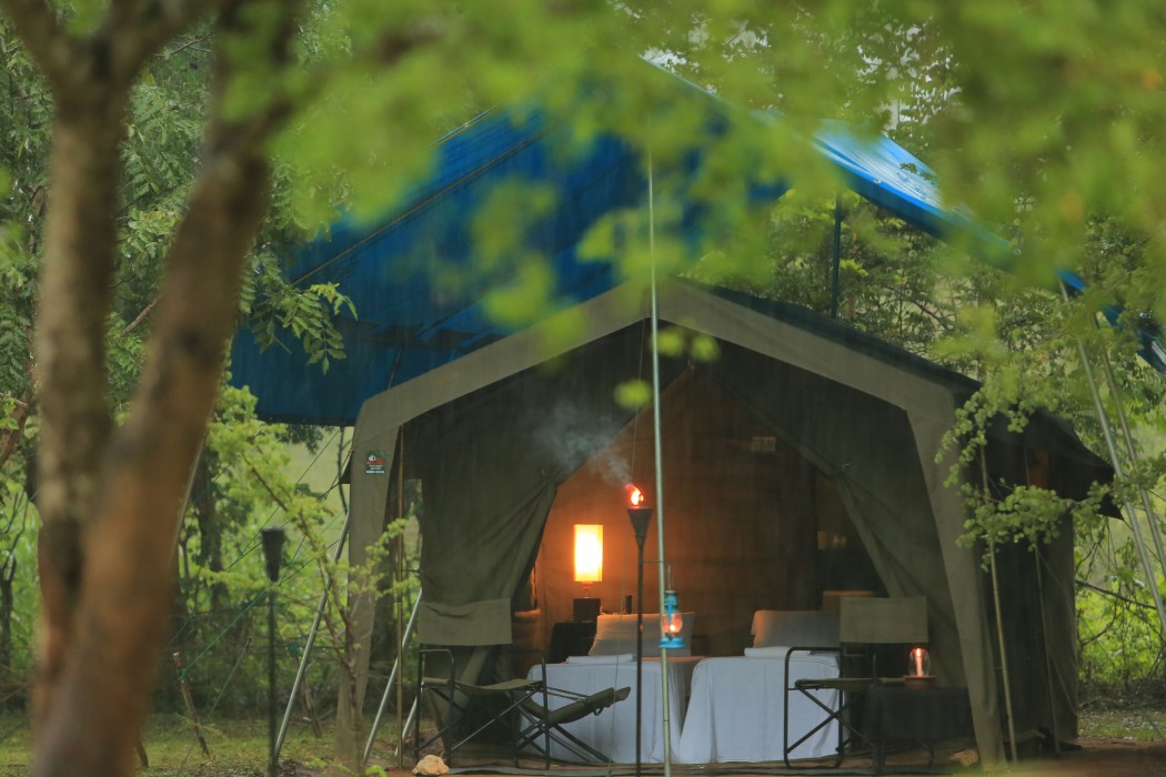Big Game - Wilpattu By Eco Team,Nochchiyagama>>Anuradhapura,3 star