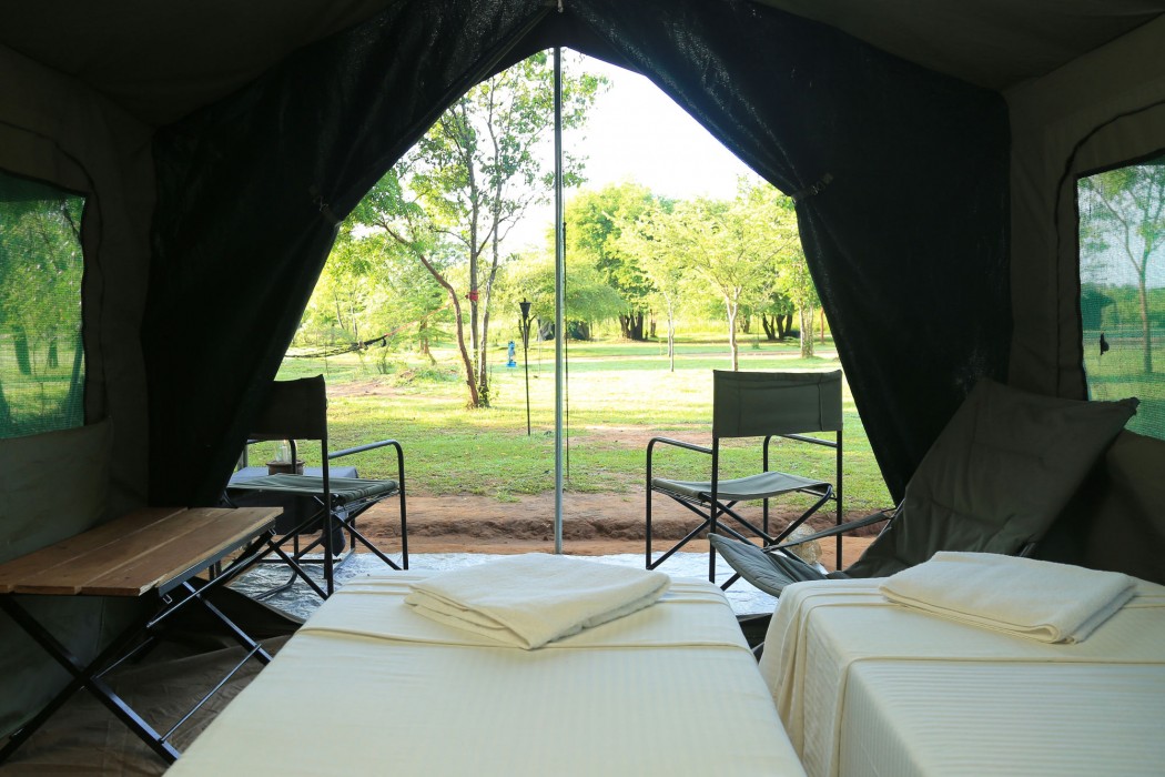Big Game - Wilpattu By Eco Team,Nochchiyagama>>Anuradhapura,3 star