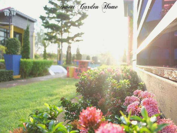 sweet garden home resort satun