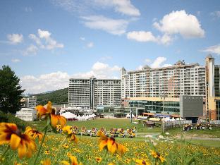 welli hilli park