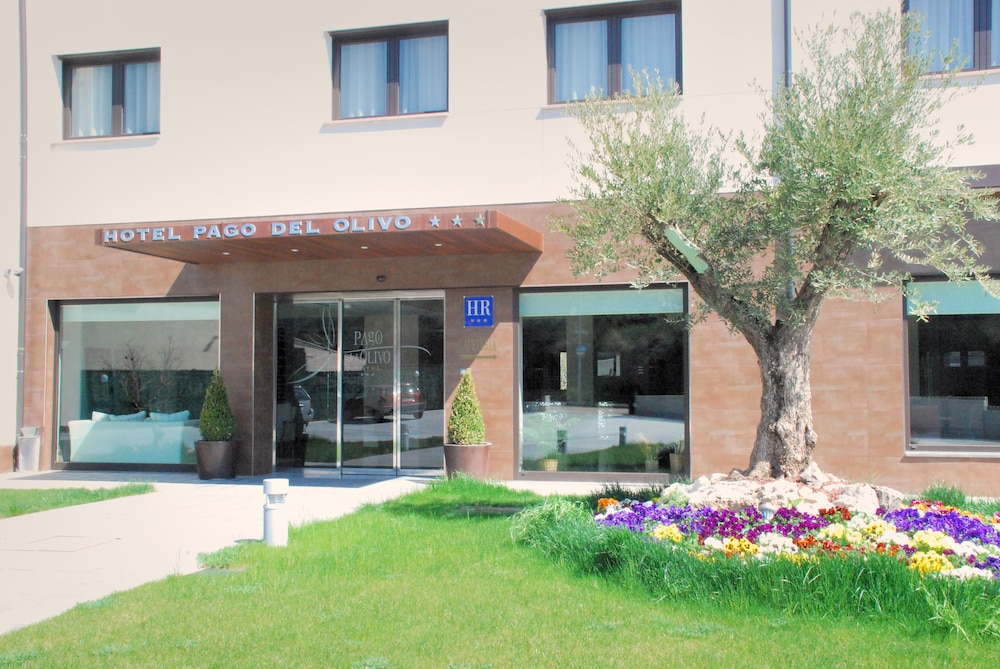 hotel pago del olivo
