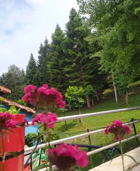 bolu yildiz hotel