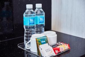 ibis budget singapore pearl