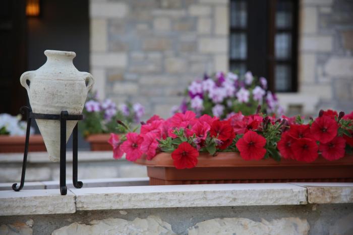 hotel vila aleksander