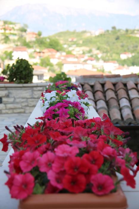 hotel vila aleksander