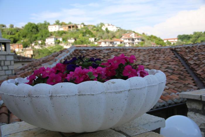 hotel vila aleksander