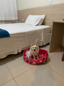 santa rosa palace hotel