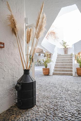 kurabiye otel adults only