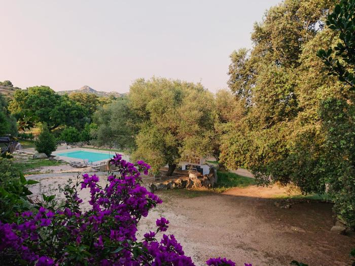 agriturismo desole