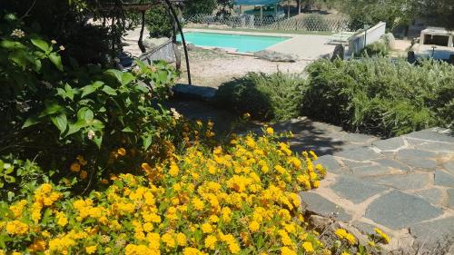 agriturismo desole