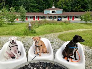 great barrington