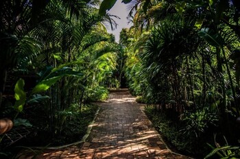 baanpong lodge