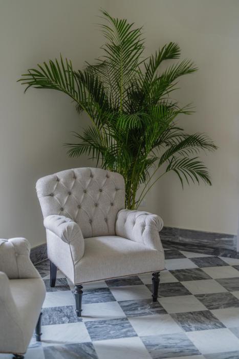 la tuja relais du parc