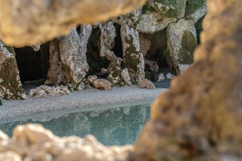 la tuja relais du parc