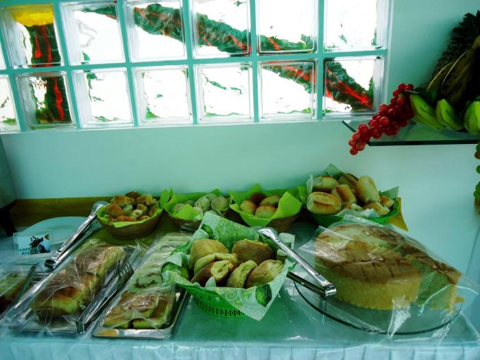 the green ecologic hotel