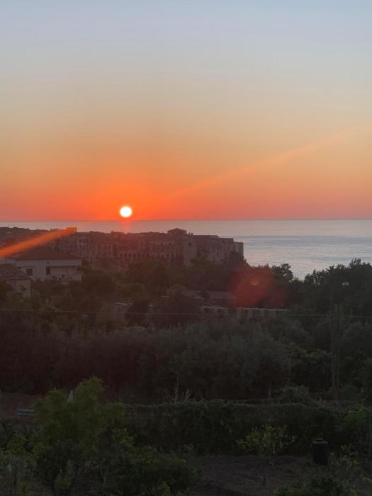 aurantia mediterranean tale