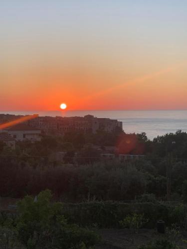 aurantia mediterranean tale