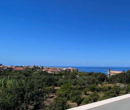 aurantia mediterranean tale