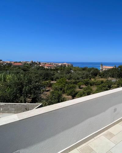 aurantia mediterranean tale