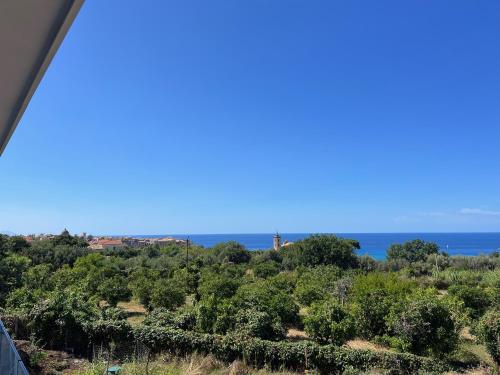 aurantia mediterranean tale