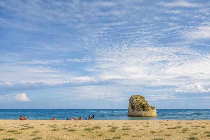 torre pali