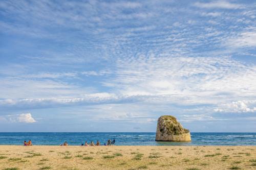torre pali