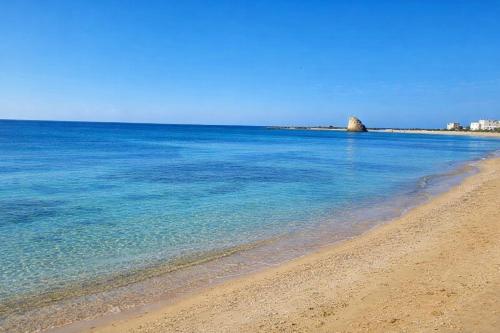 torre pali