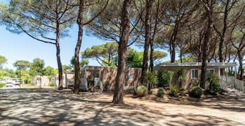 hotiday lodge viareggio