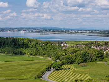 the hawthorn by galway bay