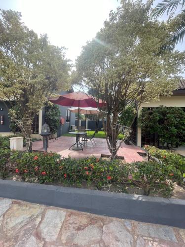 travellers palm court