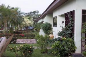travellers palm court