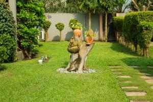 travellers palm court