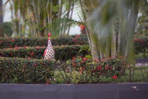 travellers palm court