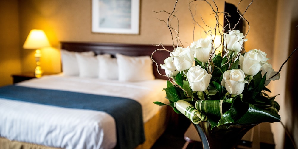 quality inn and suites brossard