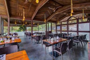 hotel rainforest panchgani