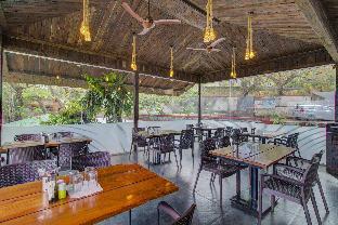 hotel rainforest panchgani