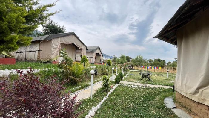 palampur