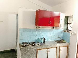 alex marie holiday apartments