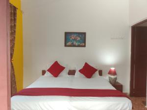 alex marie holiday apartments
