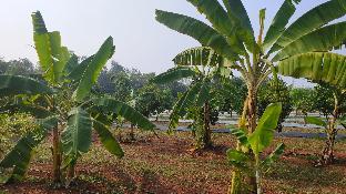nh16 farmstay