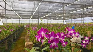 nh16 farmstay