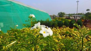 nh16 farmstay