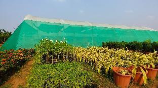 nh16 farmstay