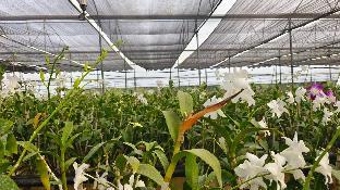 nh16 farmstay
