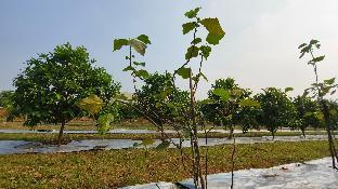 nh16 farmstay